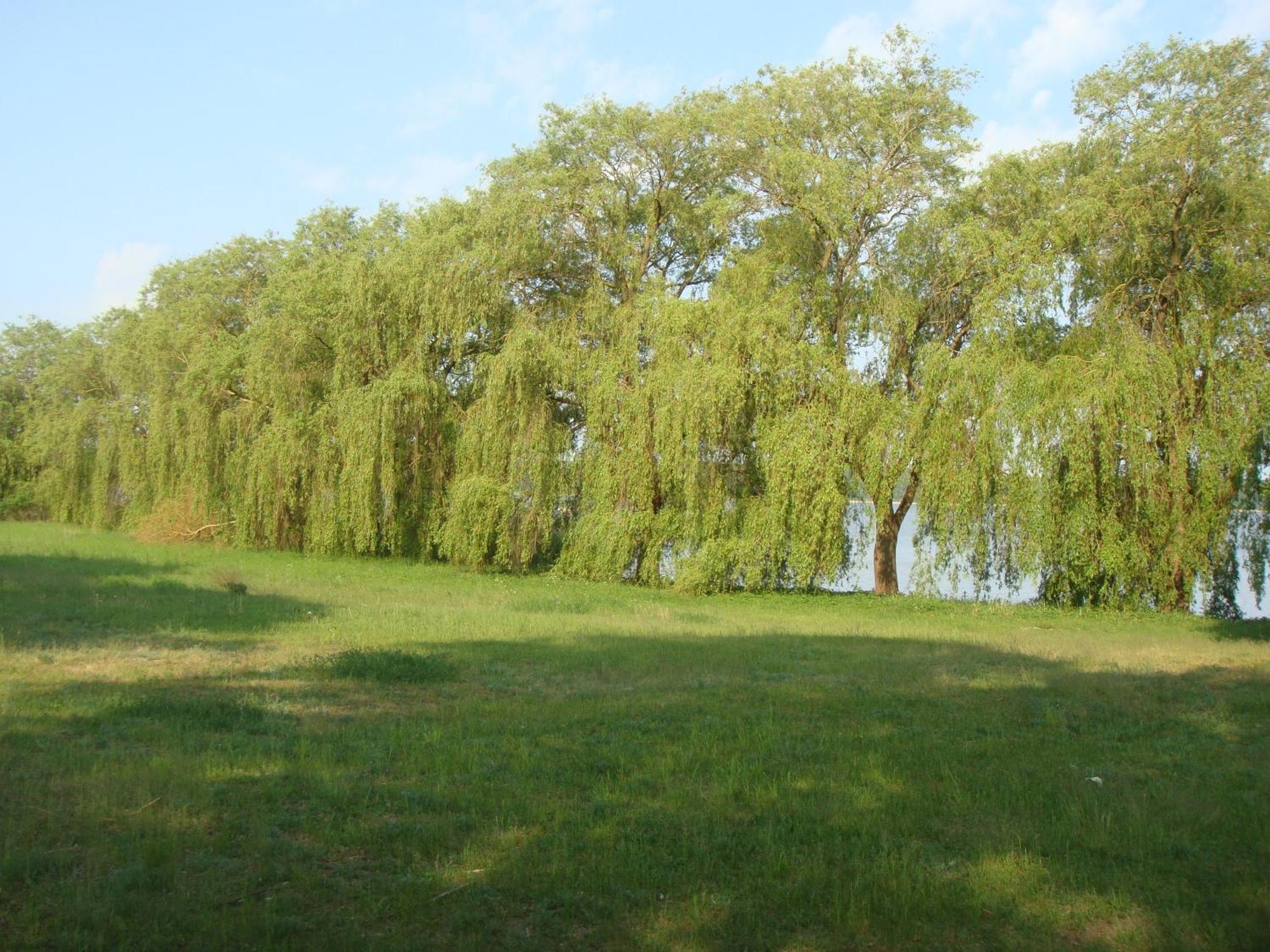 Hotel Am Wariner See 외부 사진